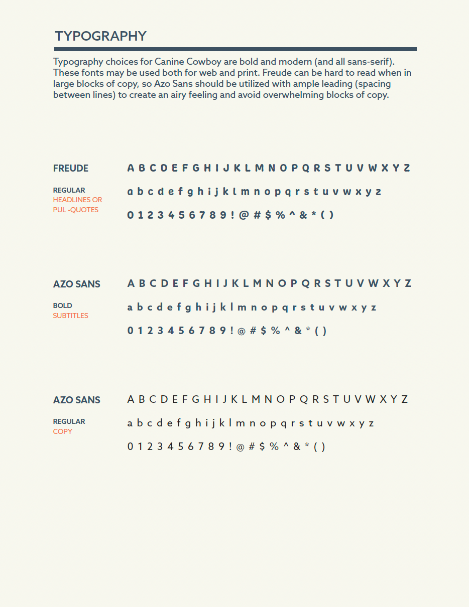 brand guidelines document showing logo usage, typography, and color palette