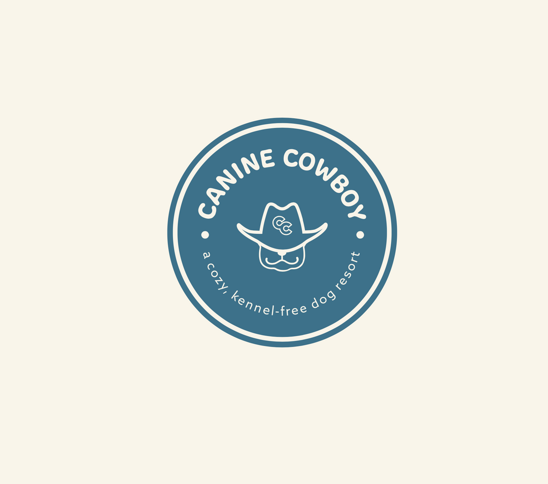 branding and logo design project for companies